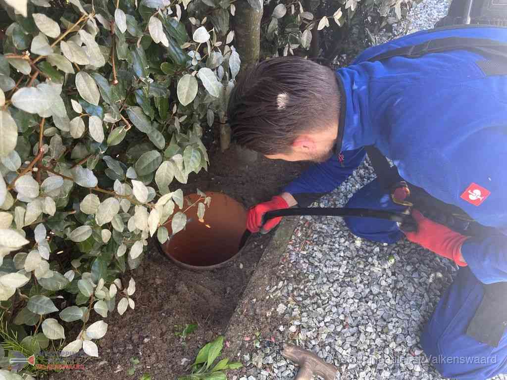 Rioolvliegjes Valkenswaard